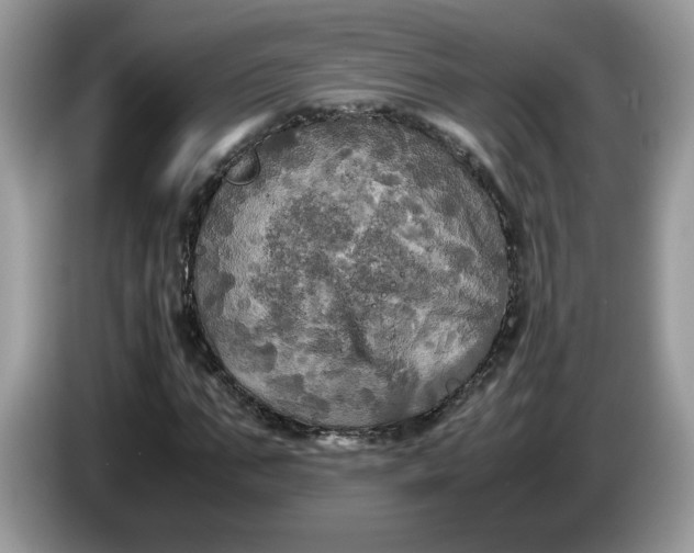 X0000086760871200704271728