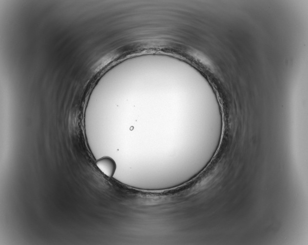 X0000086760873200704271728