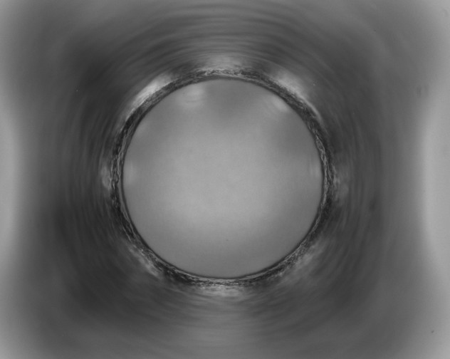 X0000086760874200704271728