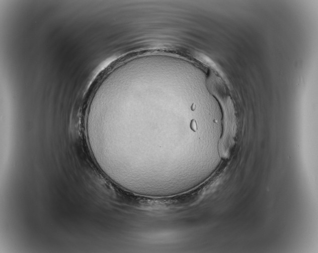 X0000086760875200704271728