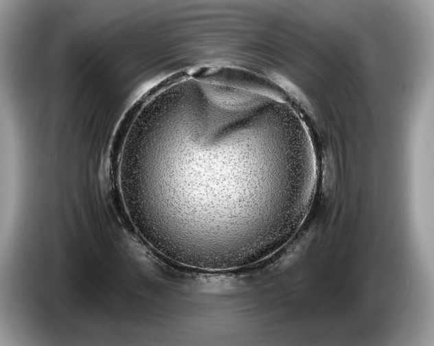 X0000086760876200704271728