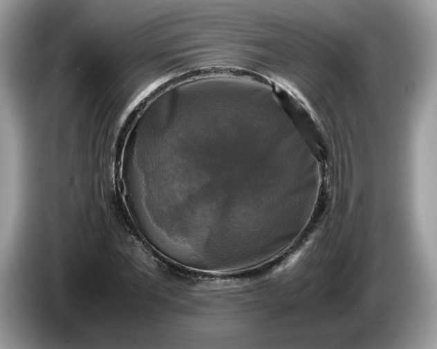 X0000086760877200704271728