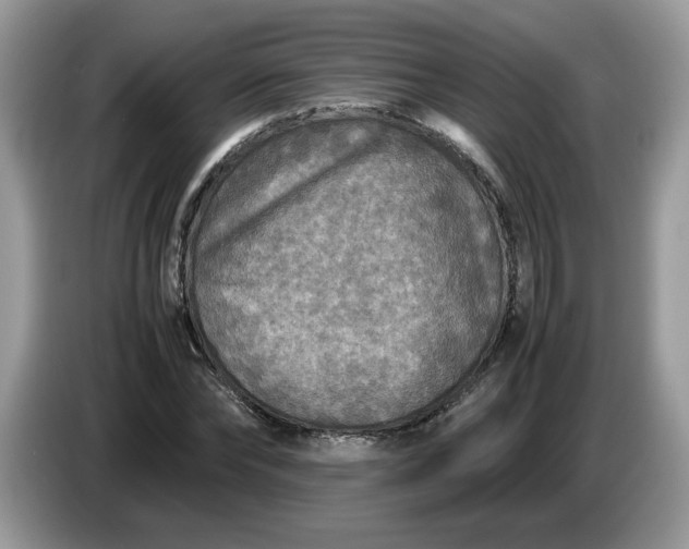 X0000086760878200704271728