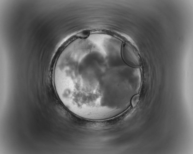 X0000086760879200704271728