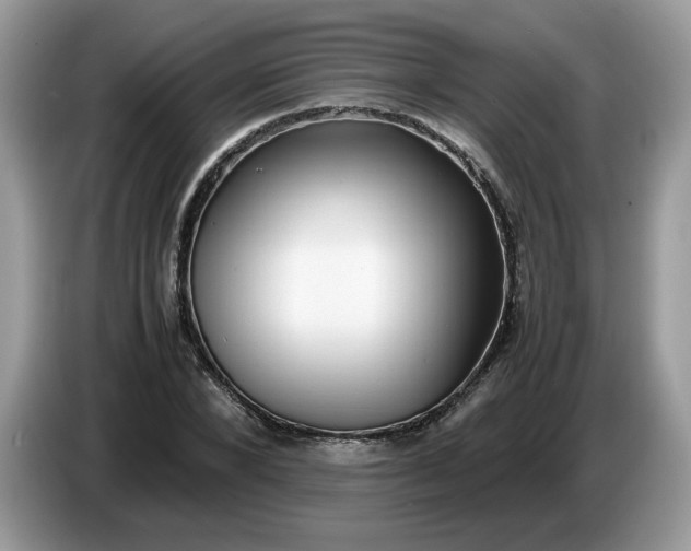 X0000086760880200704271728