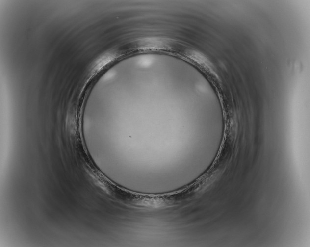 X0000086760882200704271728