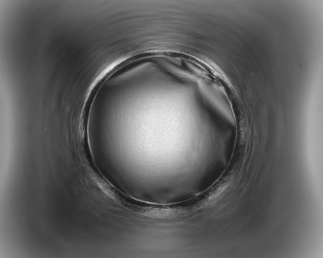 X0000086760885200704271728