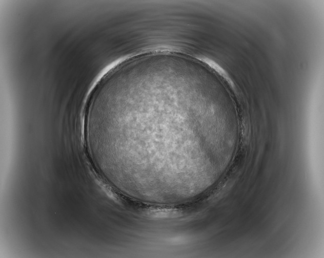 X0000086760886200704271728