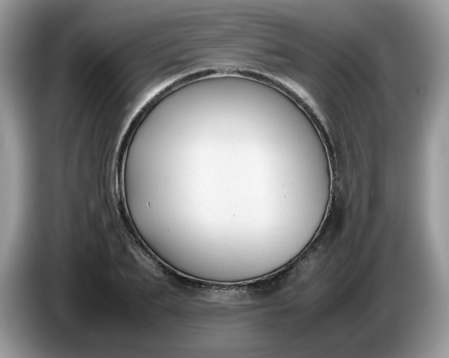 X0000086760887200704271728