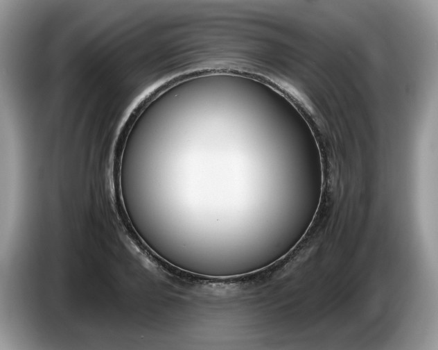 X0000086760888200704271728