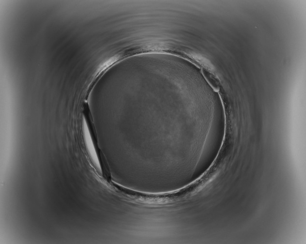 X0000086760889200704271728