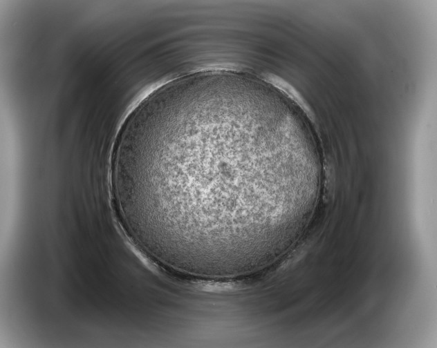 X0000086760890200704271728