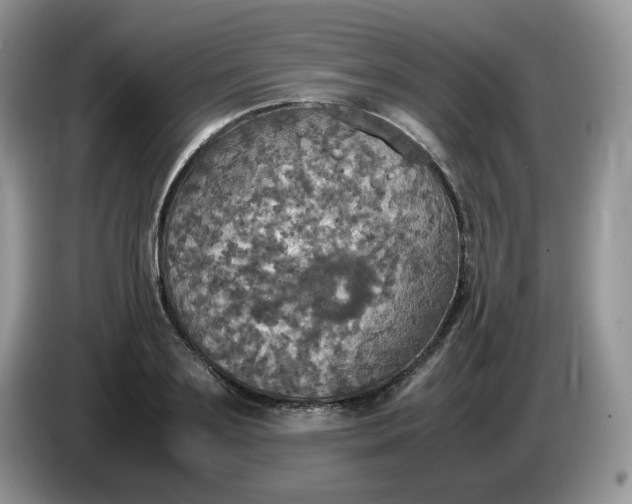 X0000086760891200704271728