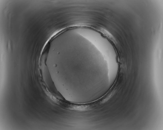 X0000086760892200704271728