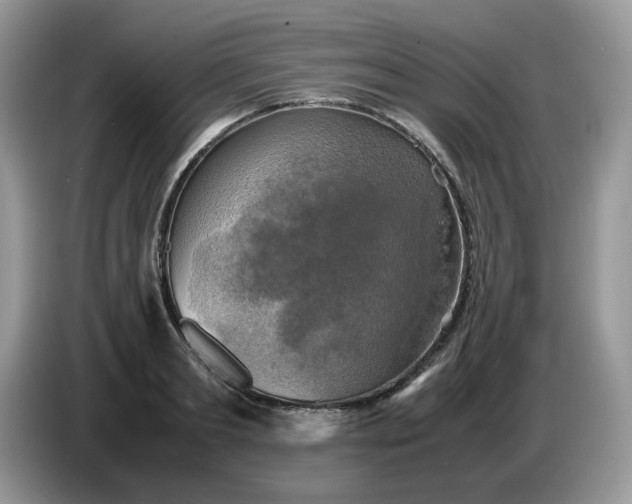 X0000086760893200704271728