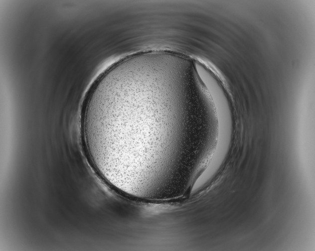 X0000086760894200704271728