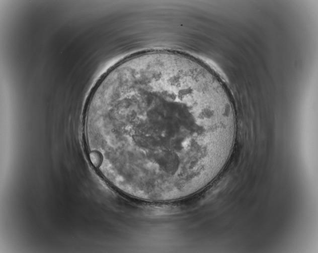 X0000086760895200704271728