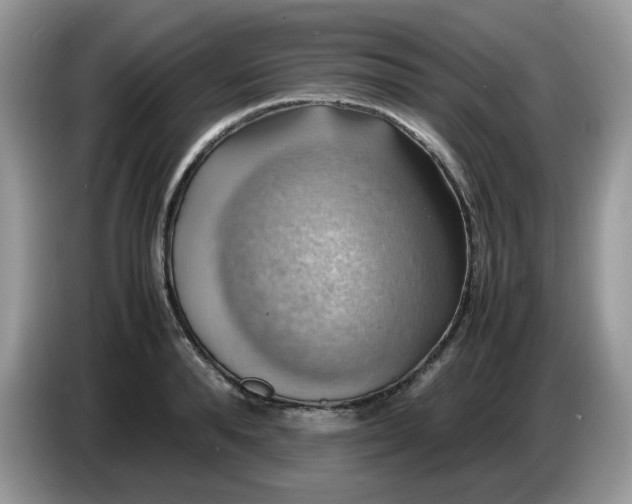 X0000086760896200704271728