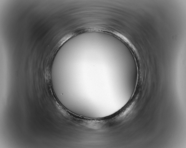 X0000086760897200704271728