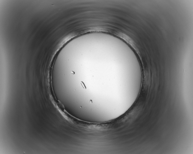 X0000086760898200704271728