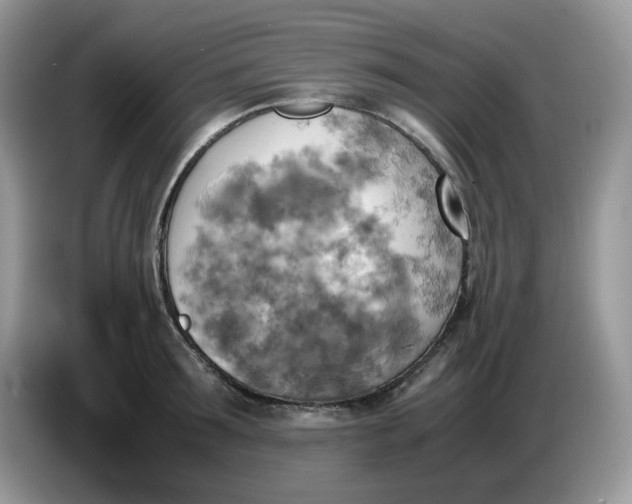 X0000086760899200704271728