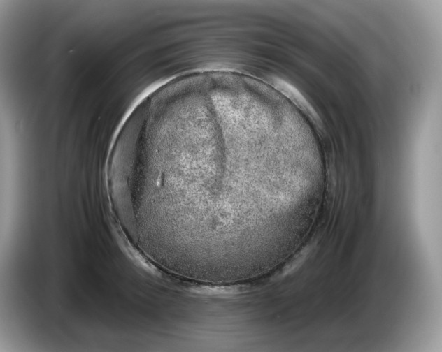 X0000086760900200704271728