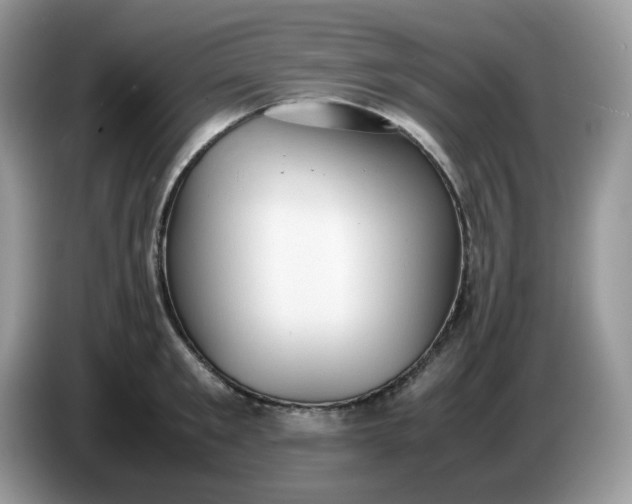 X0000086760901200704271728