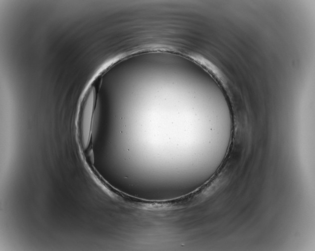 X0000086760902200704271728