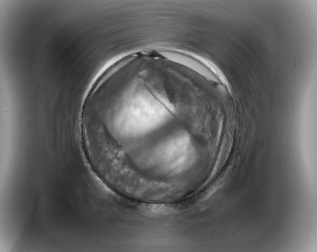 X0000086760903200704271728