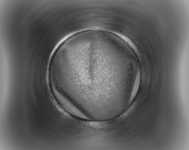 X0000086760904200704271728