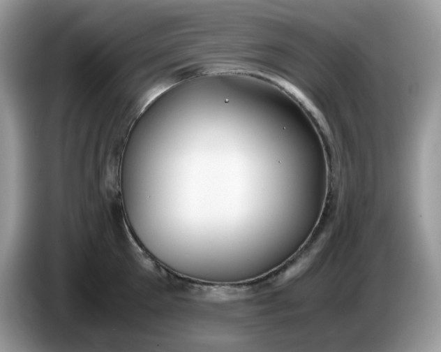 X0000086760905200704271728