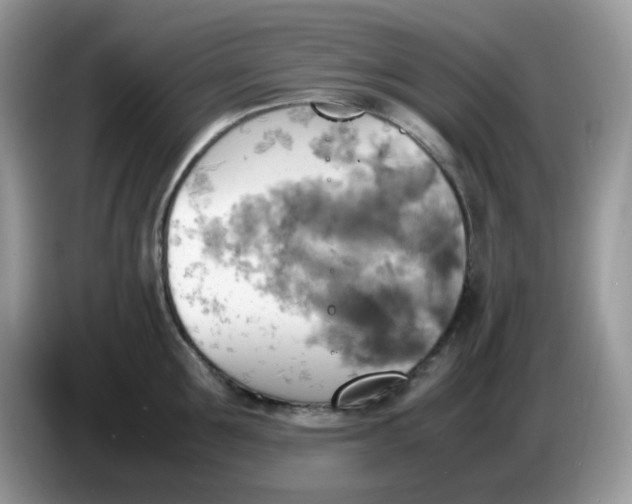 X0000086760907200704271728