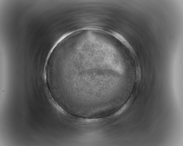 X0000086760908200704271728