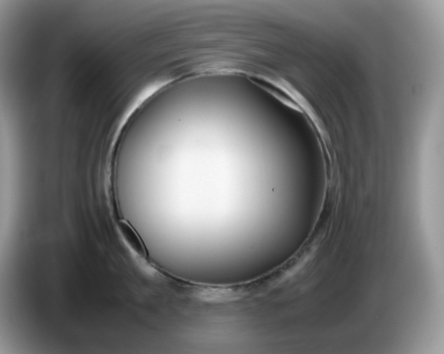 X0000086760909200704271728