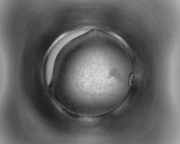 X0000086760910200704271728