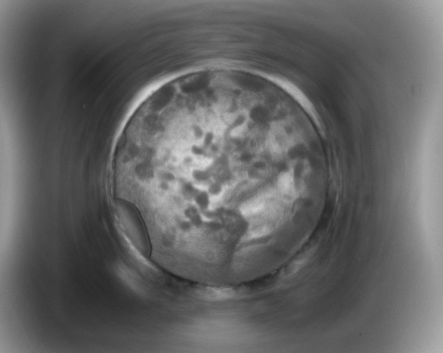 X0000086760911200704271728