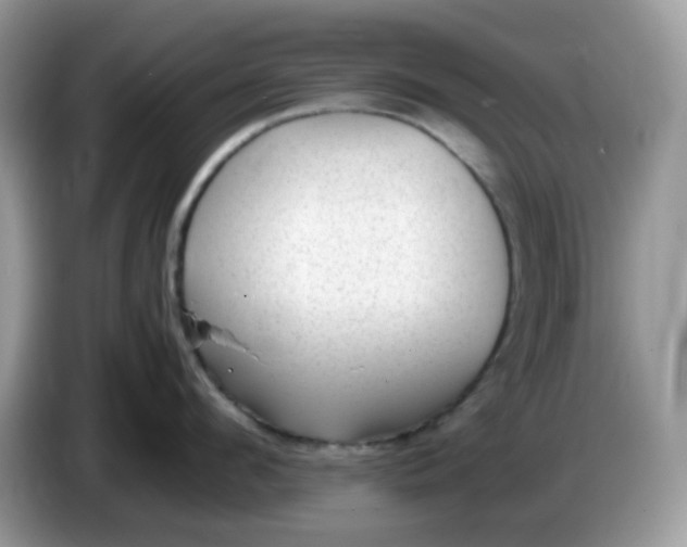 X0000086760912200704271728