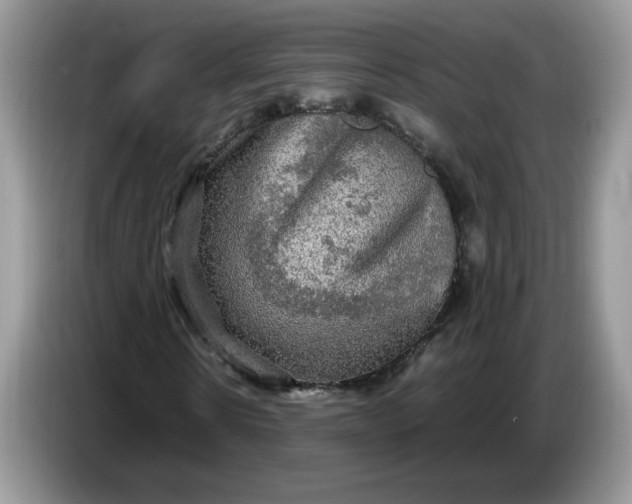 X0000086760914200704271727