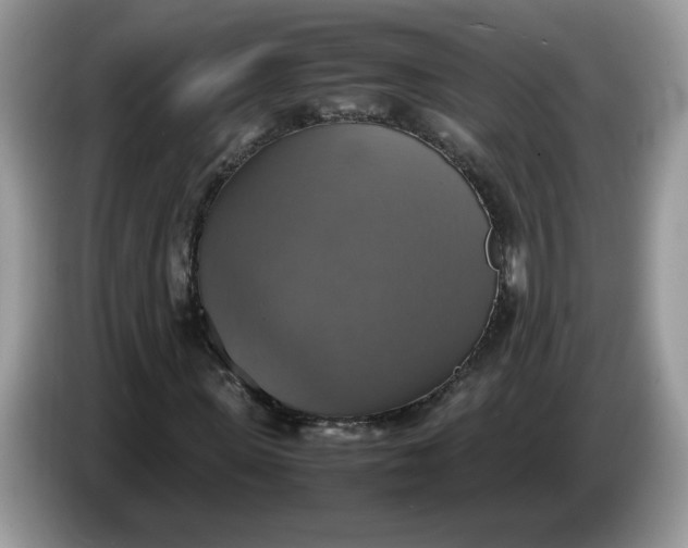 X0000086760915200704271727