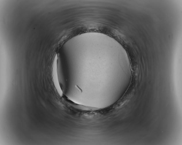 X0000086760916200704271727