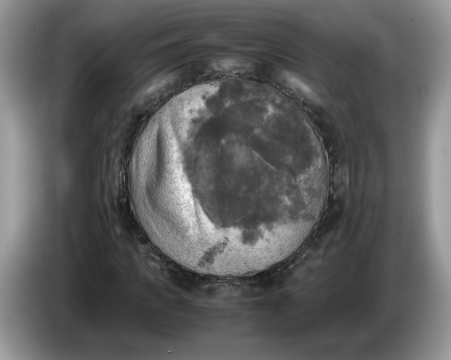 X0000086760917200704271727