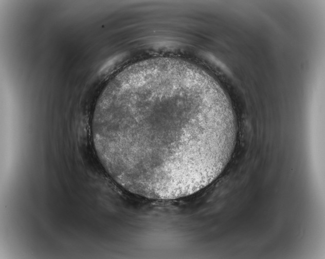 X0000086760918200704271727