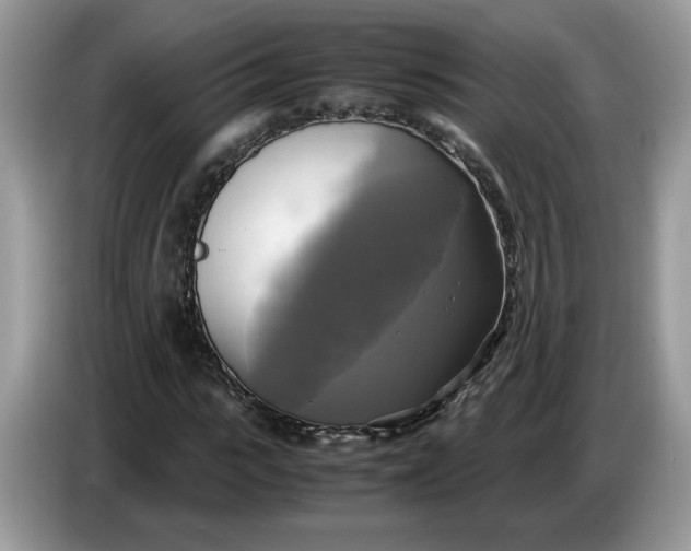 X0000086760919200704271727