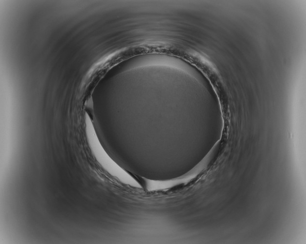 X0000086760920200704271727