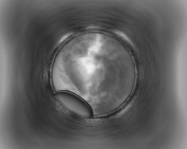 X0000086760921200704271727