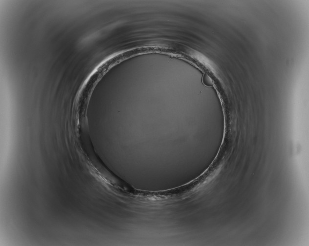 X0000086760923200704271727