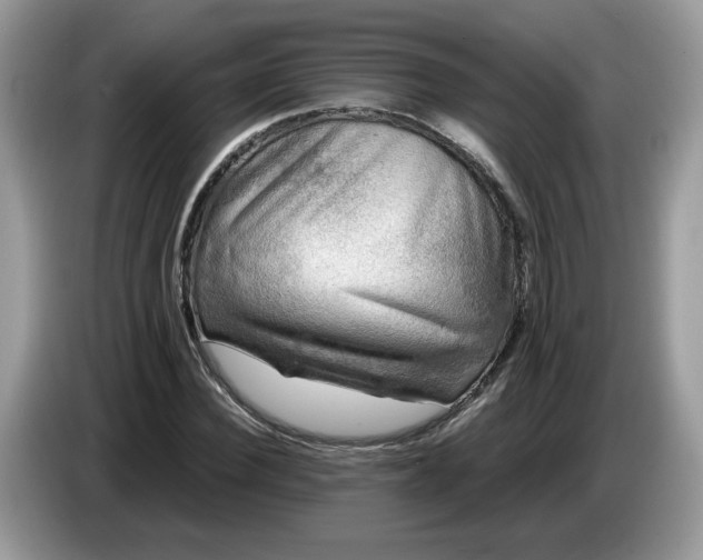 X0000086760924200704271727