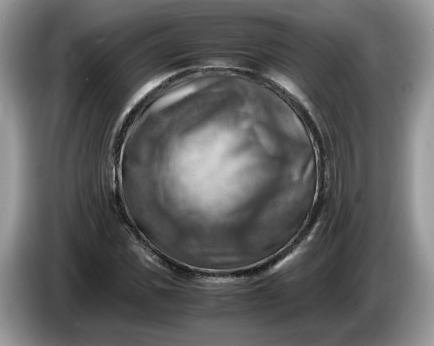 X0000086760925200704271727