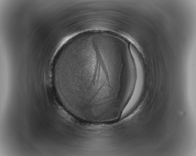 X0000086760926200704271727