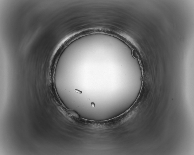 X0000086760927200704271727